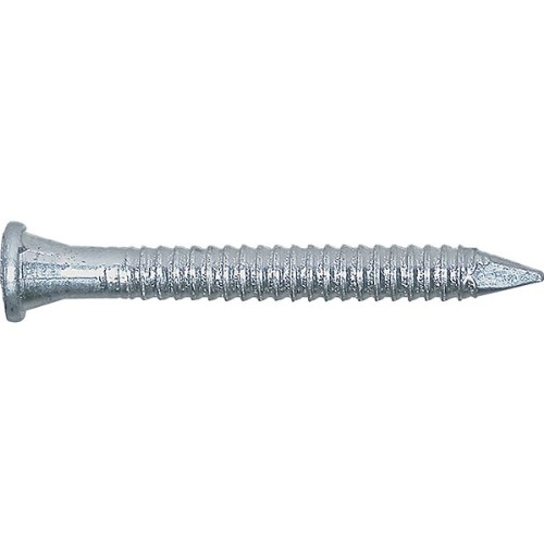 BESLAGSSPIKER